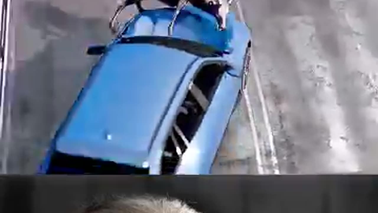 viral video trending 🥶✨✨ ki