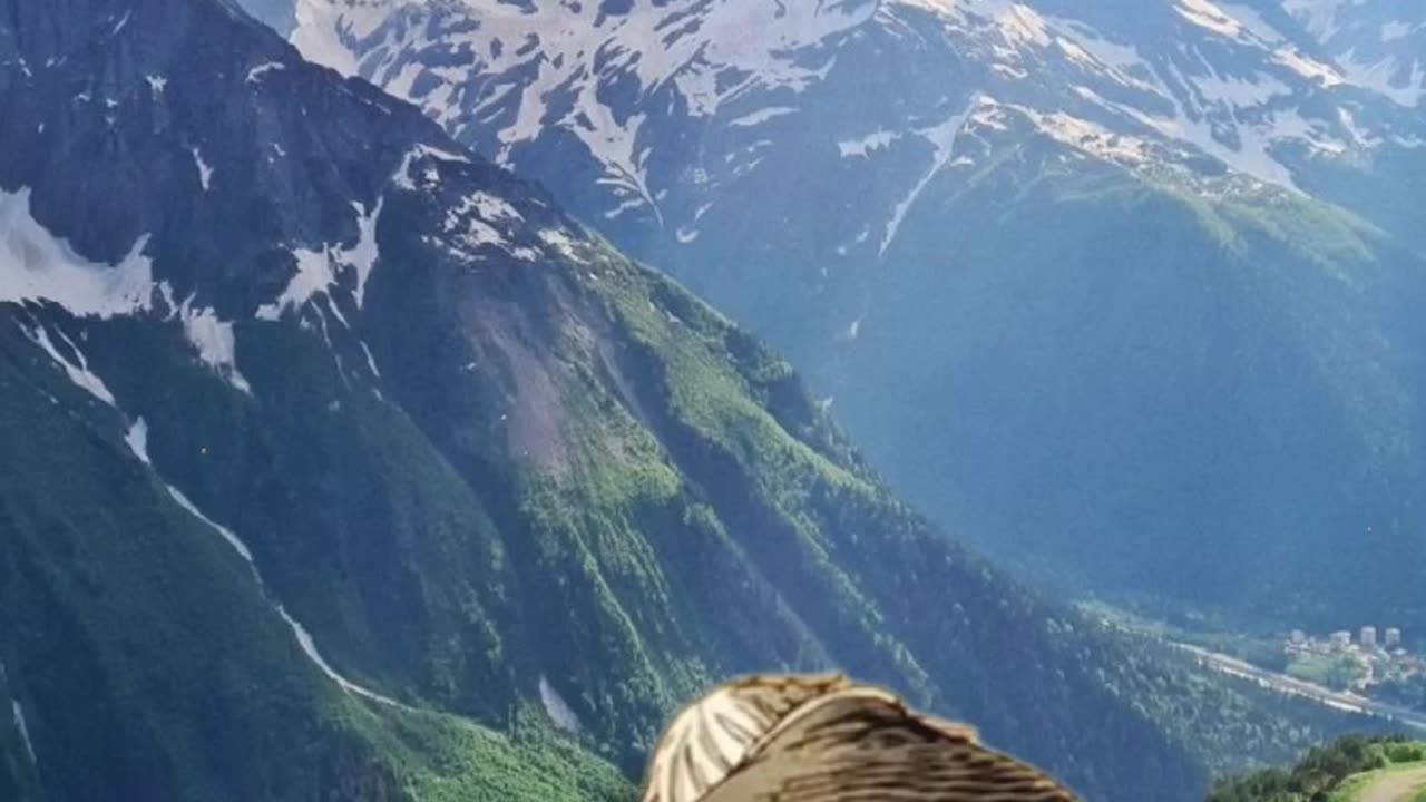Strong Men Master Solitude – Why Weak Men Fear Being Alone