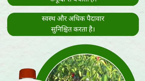 Agricultural Insecticides in India | NACL Industries Ltd