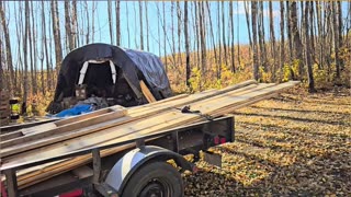 Found FREE Lumber at the Dump! (Is It Even Legal_) #livingoffgrid #homesteading