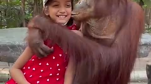 Baby Girl With a orangutan