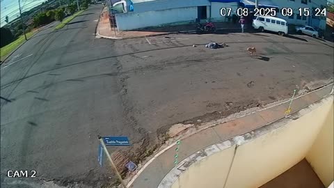 This dog should join NHL