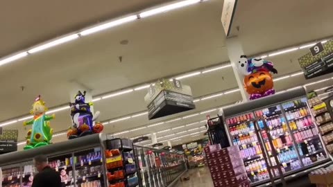 😮🛒 A Bear Roams Free in an Arizona Grocery Store! | FeedMyCuriosity