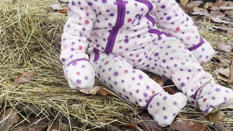 baby kayla searching for hiding bunnies in the enclosure 🐰