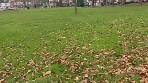 So we was right all along. - Ay_audits