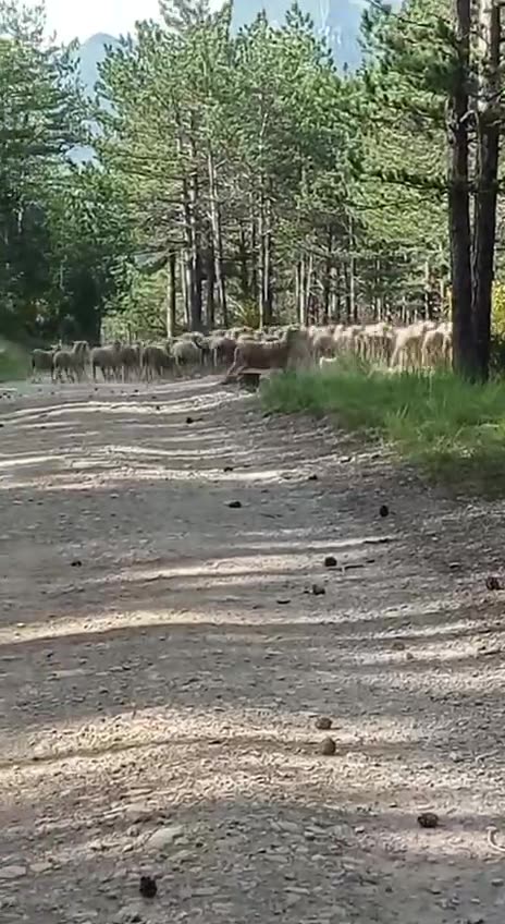 May be small but he ain’t messing around 😂