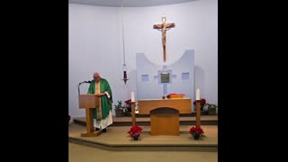 Homily for the 3rd Sunday in Ordinary Time "A"