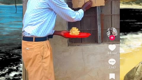 Just shorts videos - Follow 😜😋!!!!!!!