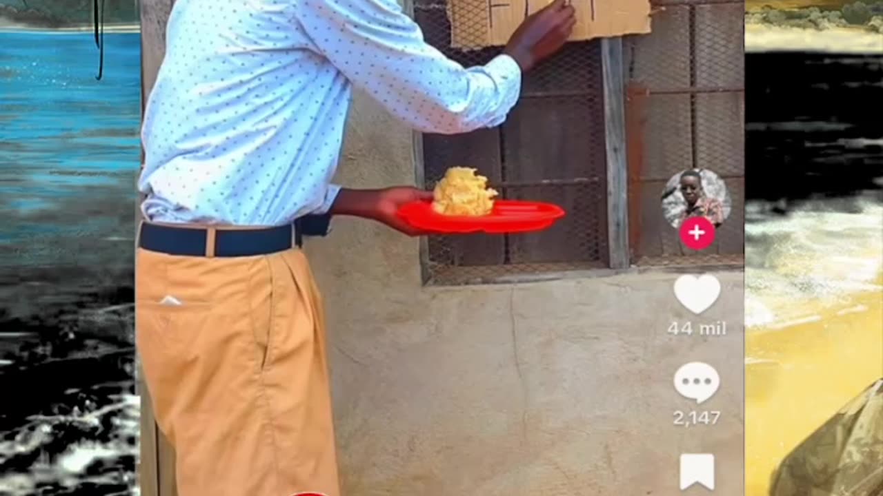 Just shorts videos - Follow 😜😋!!!!!!!