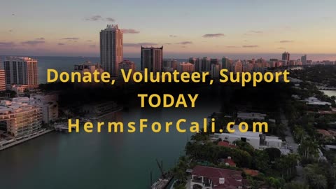 Psyop of Silence by Lewis Herms