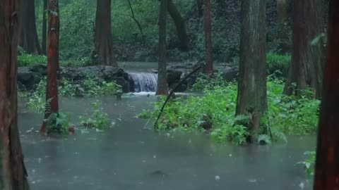 The streams and rain in the valley