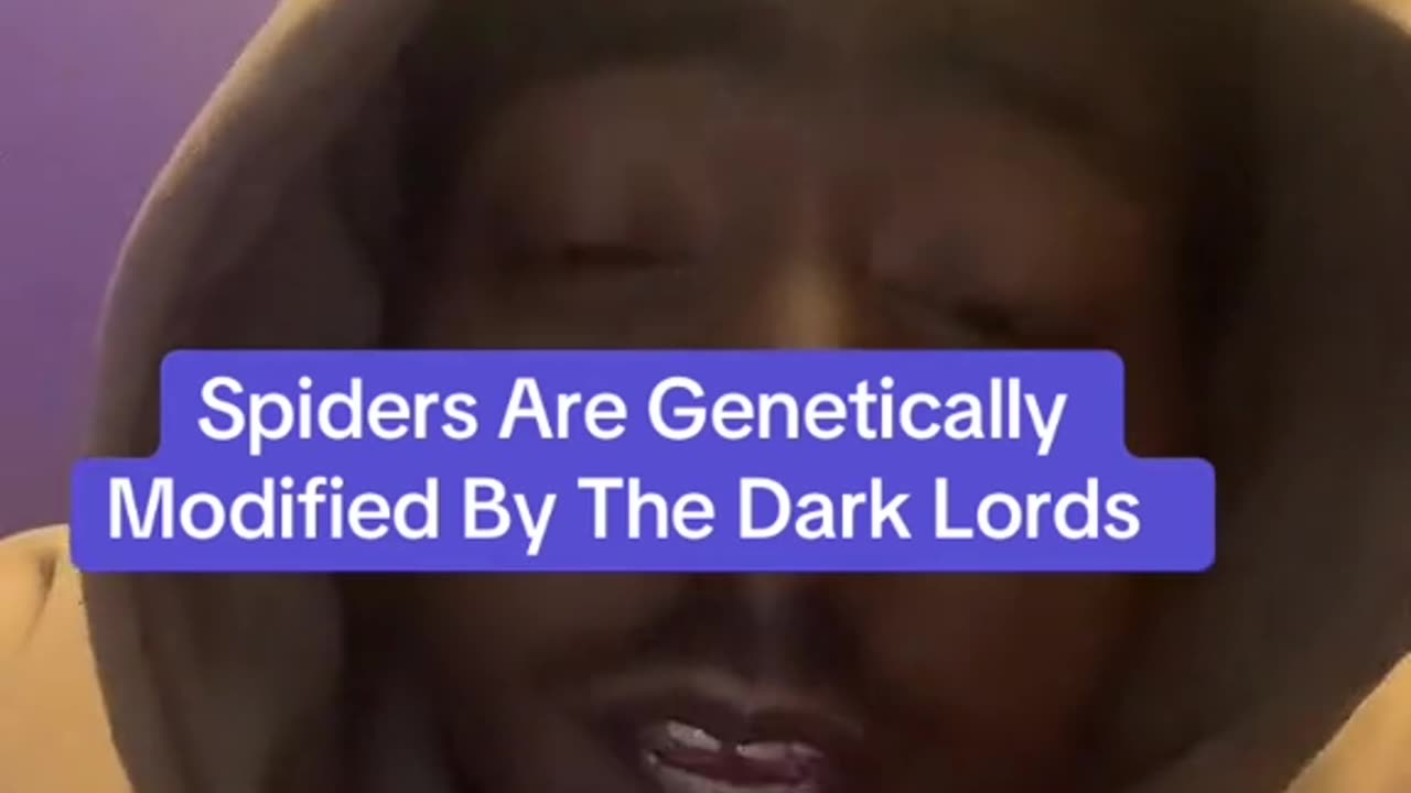 SPIDER: We used to FIGHT GIANT SPIDERS.