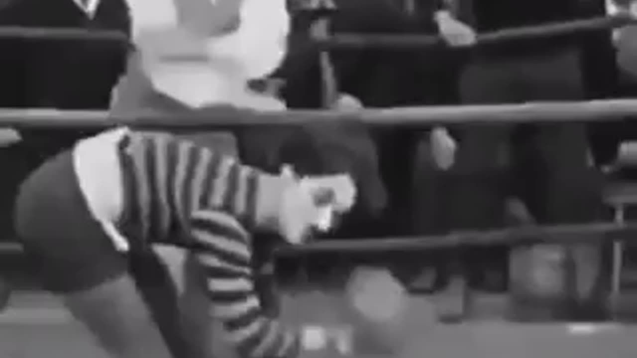 Sights, 🥊😂 Chaplin’s Genius Turns Boxing into Poetry!😁