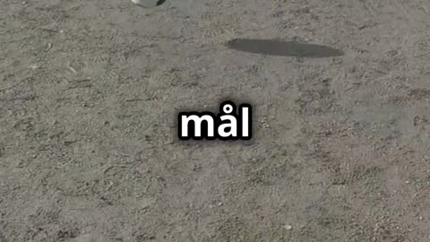 Överkörningen – efter jättetabben