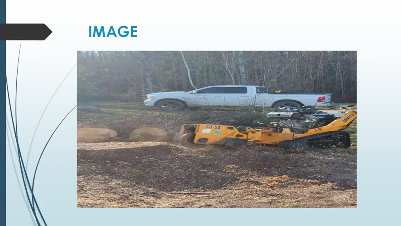 Best Emergency stump removal in Samac