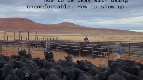 Generational Ranchers. cartercountrymeats.com