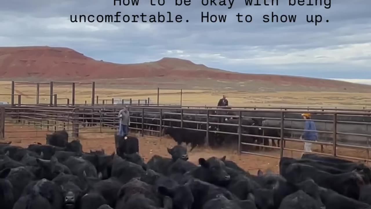 Generational Ranchers. cartercountrymeats.com