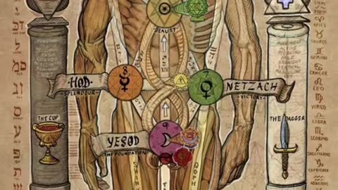 vd christian waldrip