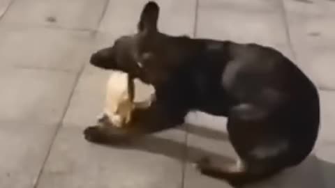 Funny video 🤣🤣🤣