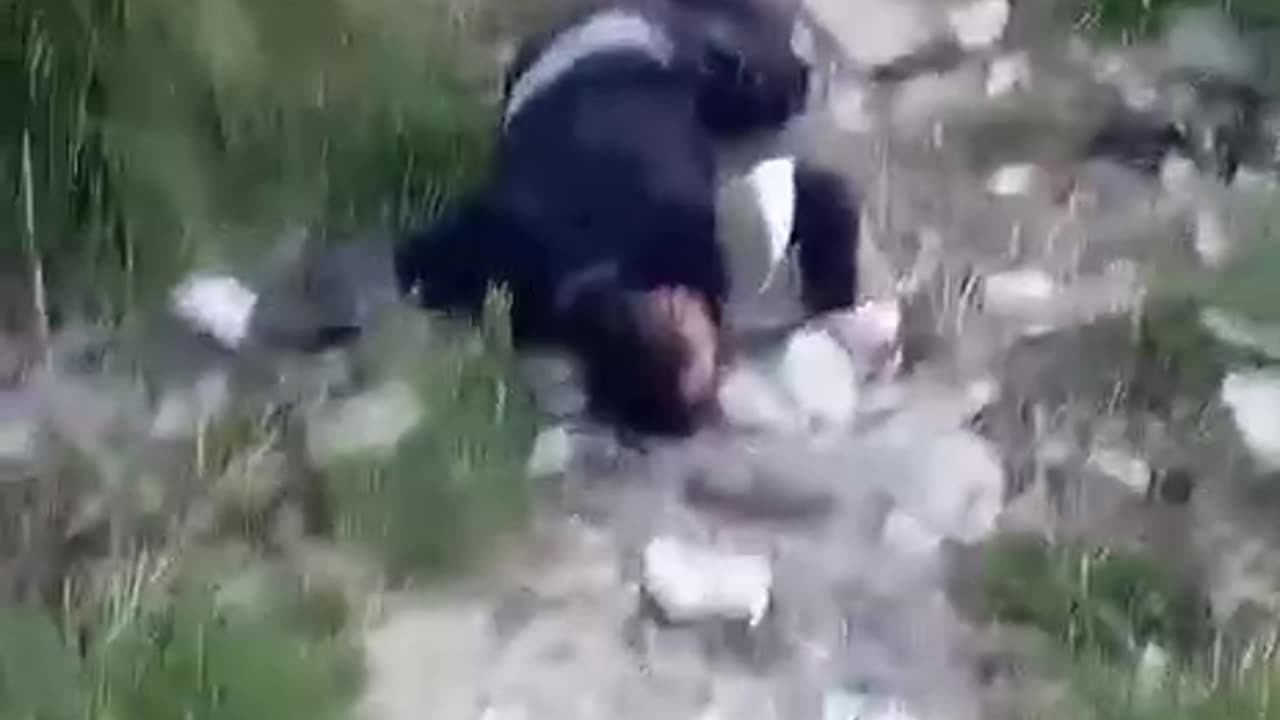 E così, mentre il mondo si distrae con la narrazione...