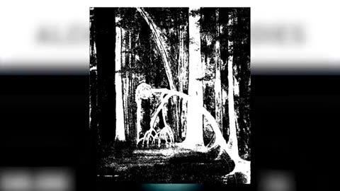 Carl Jung _ Alchemical Studies _ audiobook.mp4