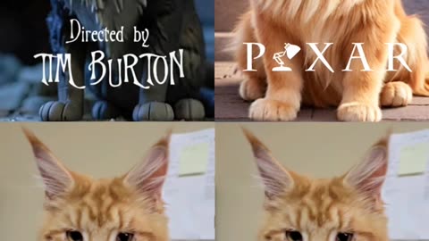 Henry Montage