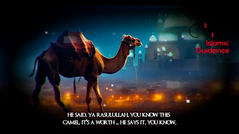 *The Emotional Story Of Jabir (R) - The Miraculous Camel