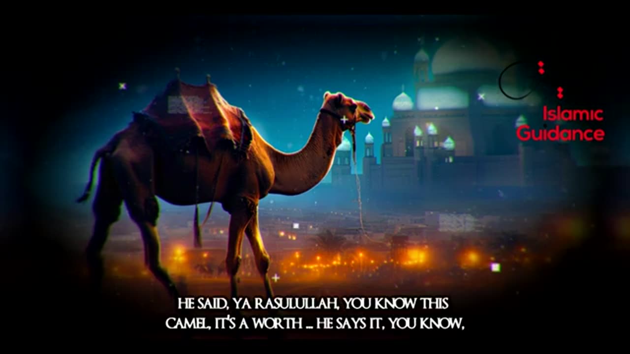 *The Emotional Story Of Jabir (R) - The Miraculous Camel