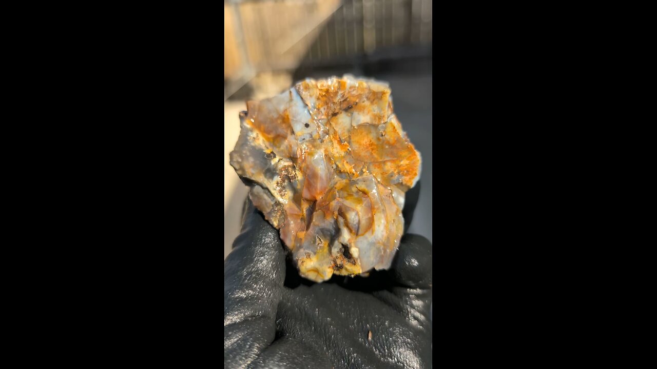 Plume Agate with Brecciated Jasper!