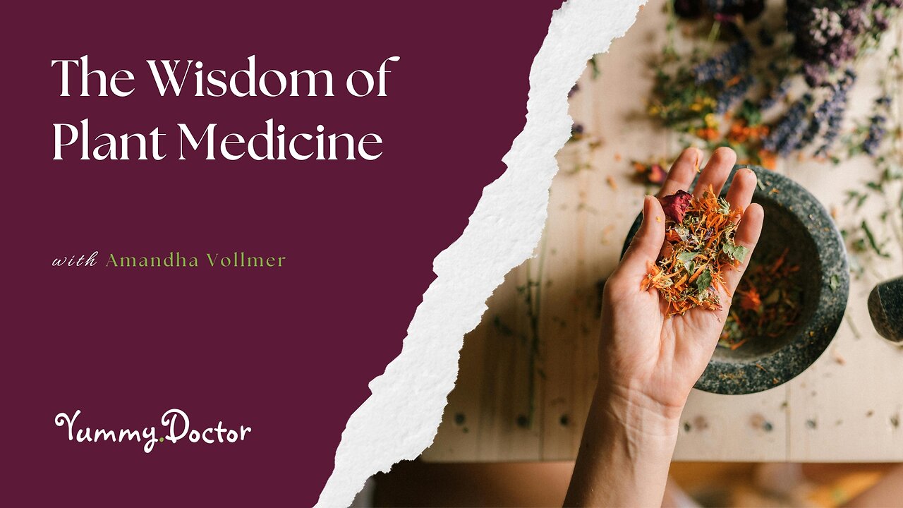 The Wisdom of Plant Medicine