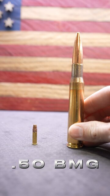What’s the difference between the 22lr and the 50 BMG