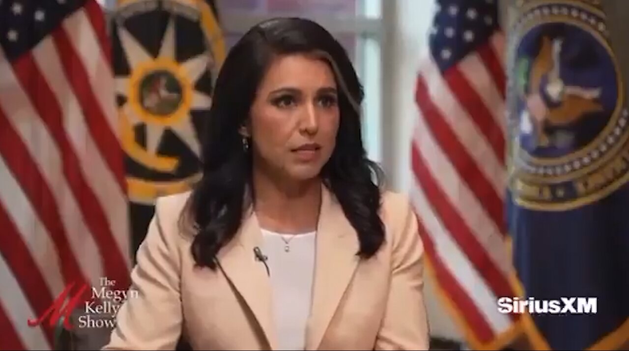 Tulsi Says They're Looking Into Fauci's Role In Funding Gain-Of-Function Research