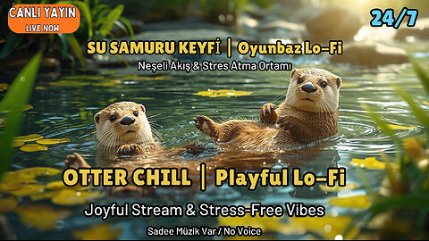 🦦 OTTER CHILL