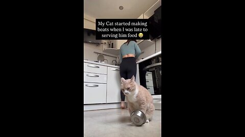 I bet the cat was fed an hour ago 🤣 (Kotpersik2021 via ViralHog)