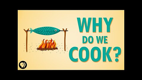 Why Do We Cook?