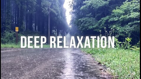 Rainforest Ambience & Healing Meditation Music
