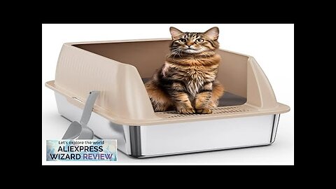 Steel Litter BoxXL Metal Litter Box with LidHigh Side Cat Litter Box Review