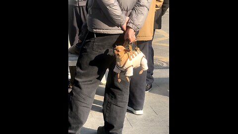 Hahahaha 2026 First Hilarious shoot