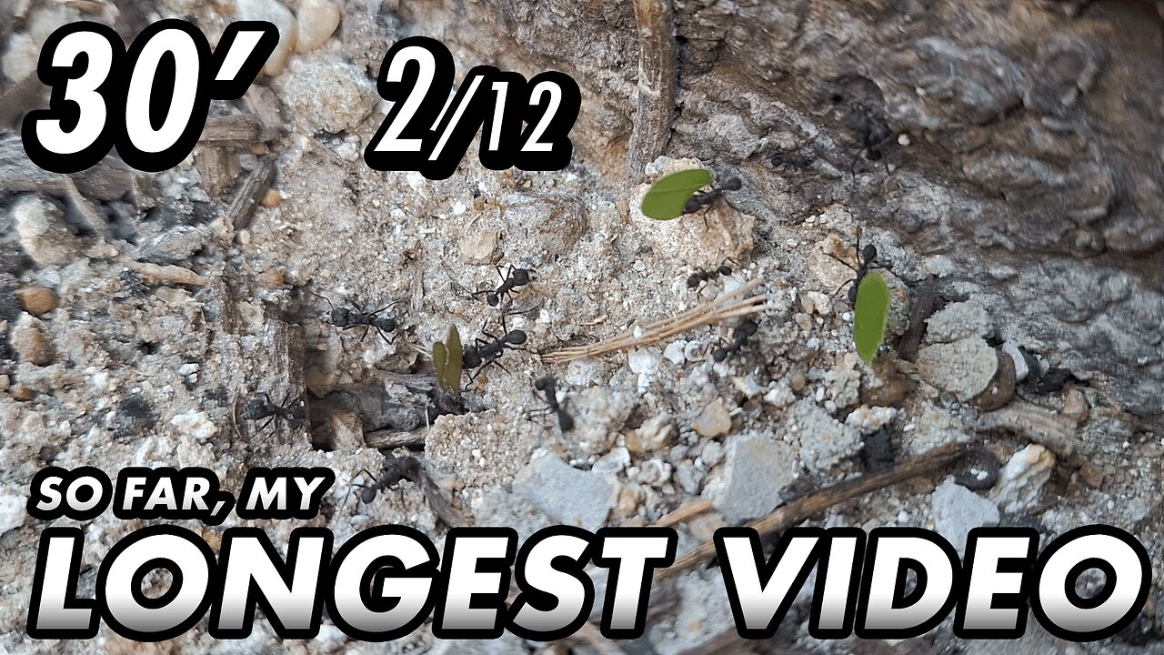 ASMR - 1st year of the channel! Finally, I can upload longer videos - 30' 2/12