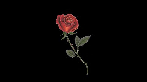 Sad Type Beat 2025 - "Red Roses" | Rap Instrumental | (FREE) [PIANO]