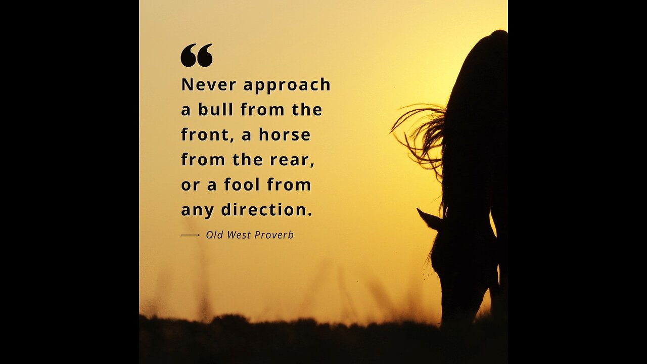 Hilo's FRIDAY NIGHT ROUNDUP