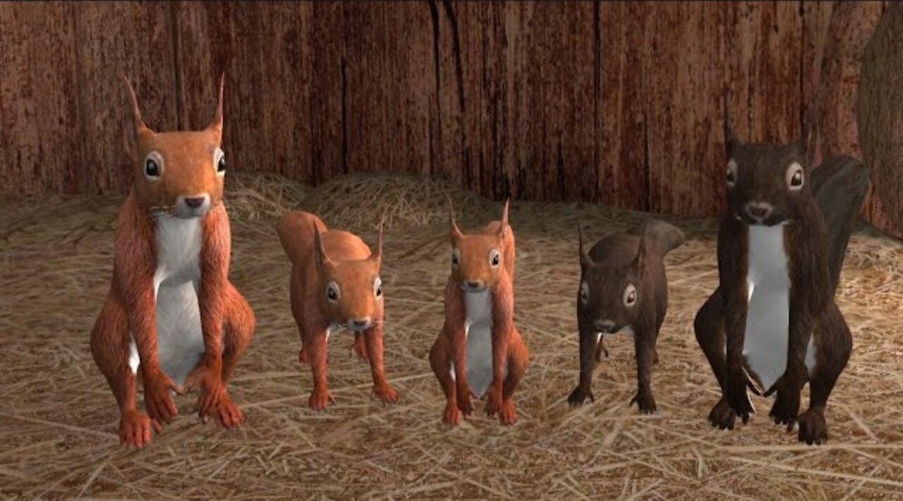 I have a Squirrel family! | Squirrel Simulator