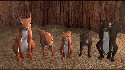I have a Squirrel family! | Squirrel Simulator
