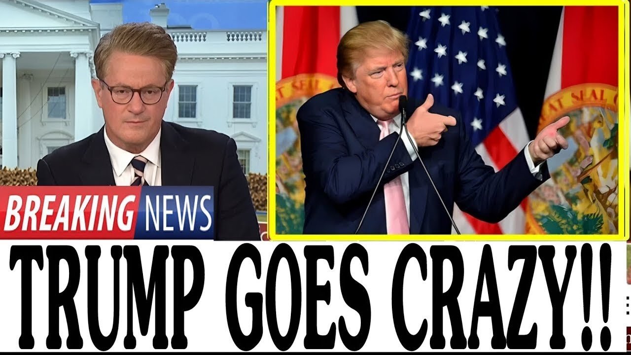 ms.now 24/7 – News