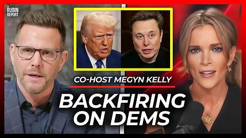 Democrat’s Stupidity on Elon Musk Just Blew Up in Their Faces with Co-Host Megyn Kelly