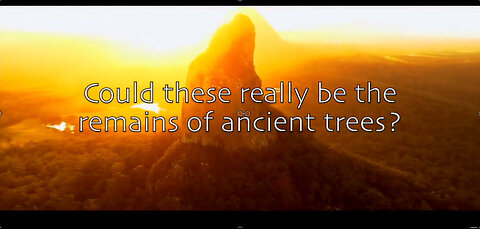 GIANT TREES & PRE-FLOOD WORLD!