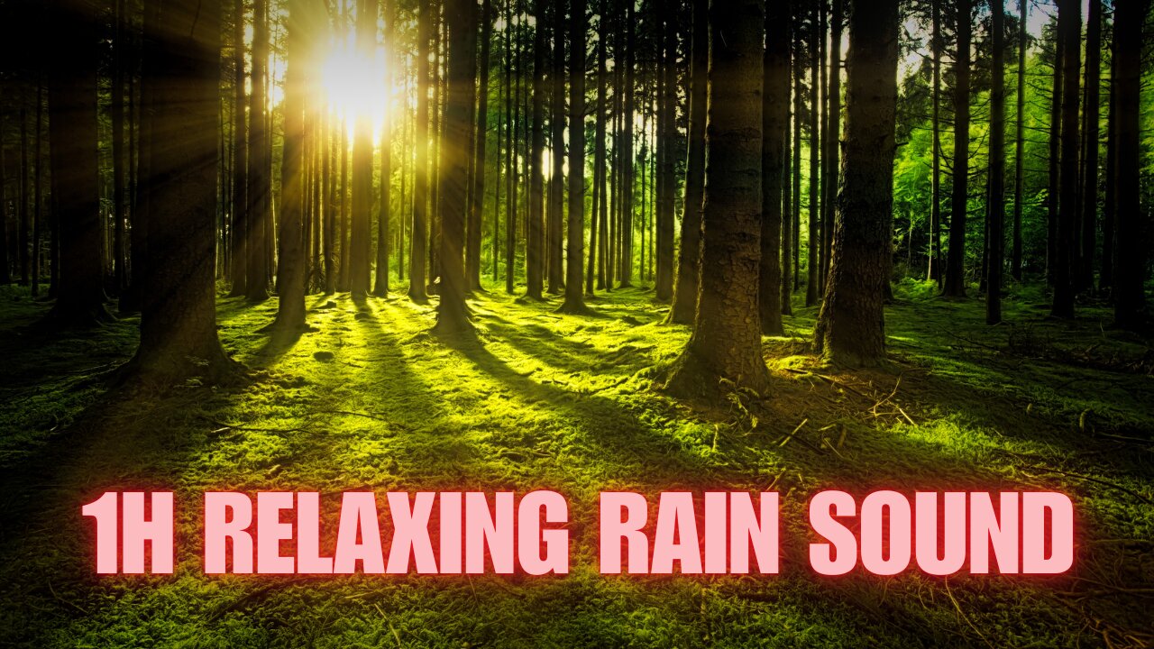 1H Relaxing Rain Sound