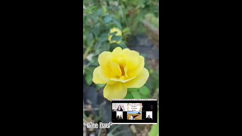 Oltea Hozan poezia -VINE ISUS!- editată de Valentin Trif #poetry #poezie #crestinism