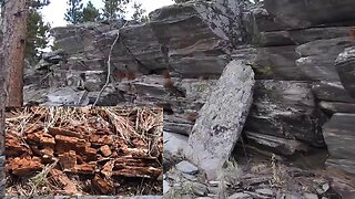 The original forest on flat earth part 15, 5 of 7, My Trip Unedited