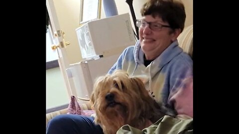 Batman is on a date! He's all paws! #funnydogs #yorkies